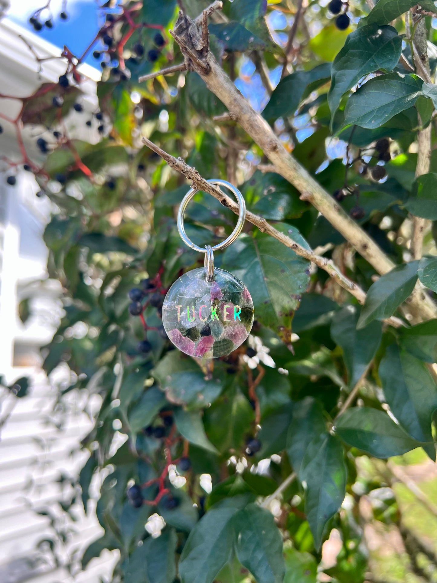 Watermelon Tourmaline